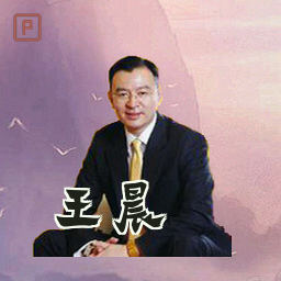 王晨